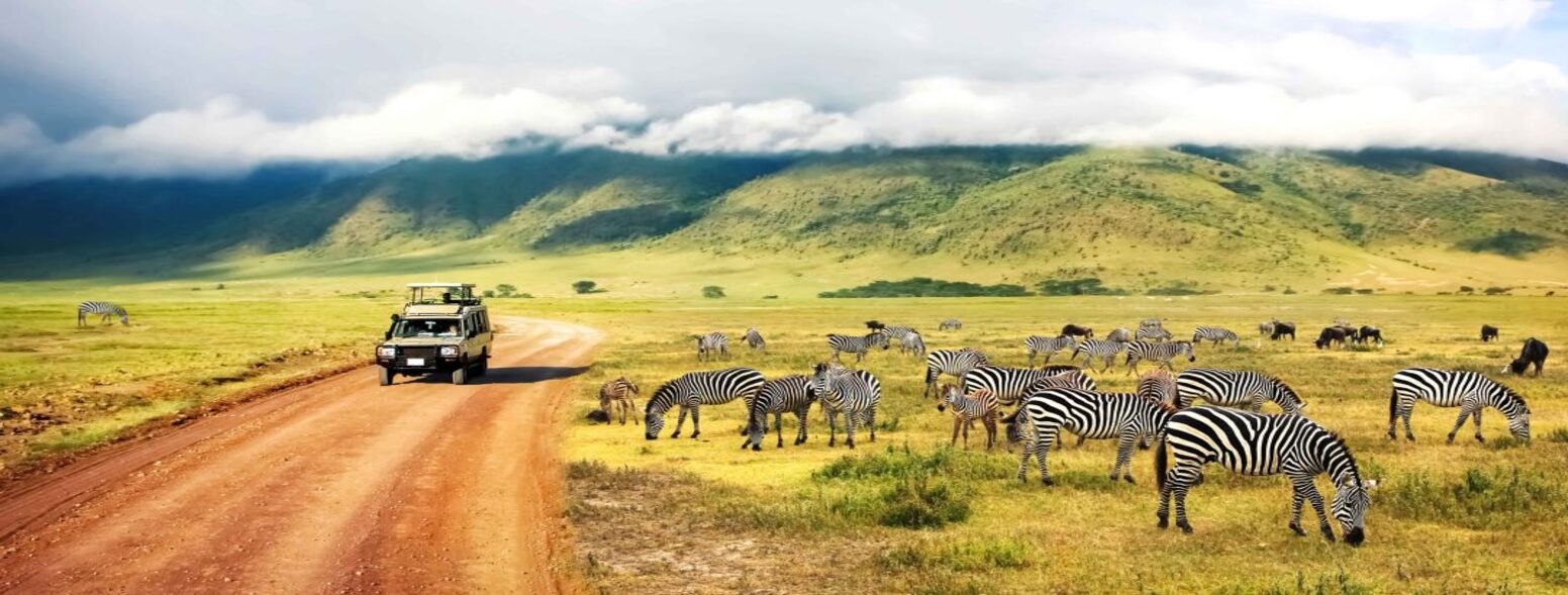 Best time for WildLife Safaris in India