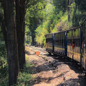 Best of Karnataka & Kerala – 14 Days