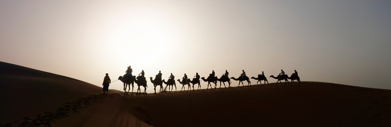 Traveler