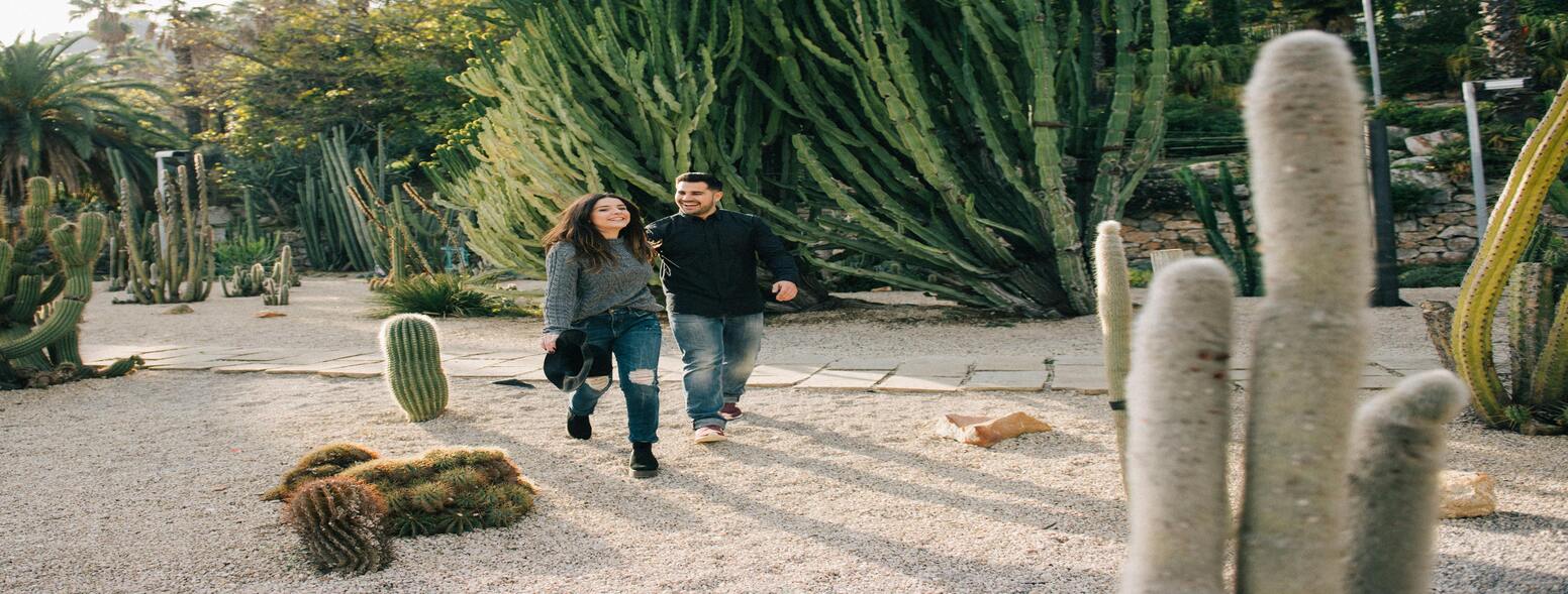 TBi Tours: Why This Travel Company Should