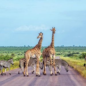 Cape Town and Garden Route & Sun City  –  9 Days 8 Nights