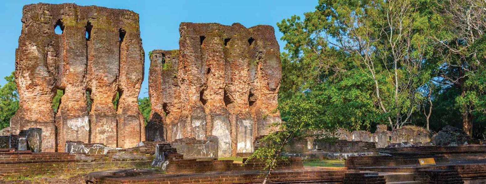 Plan Your Dream Vacation with a Customized Sri Lanka Tour Package