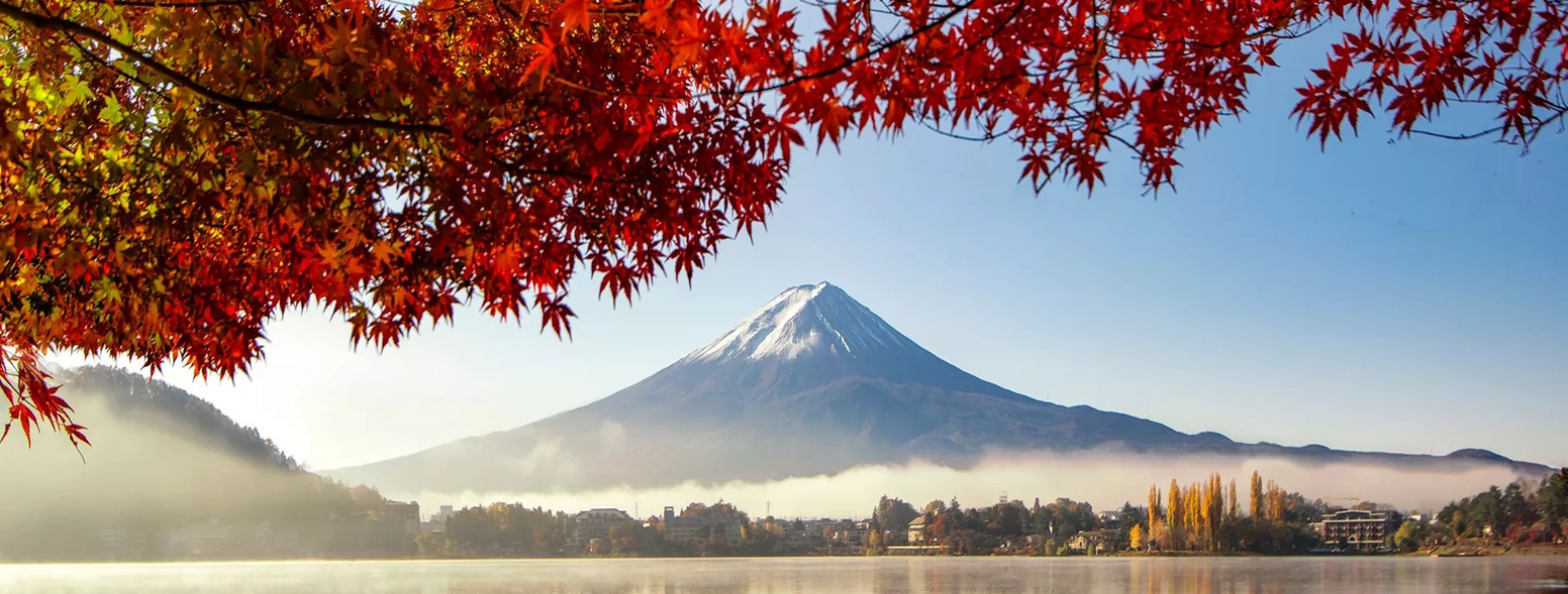 Trafalgar Tours Explained: Destinations, Inclusions & Benefits