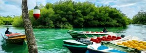 Srilanka Tour Packages: 6 Nights – 7 Days Itinerary