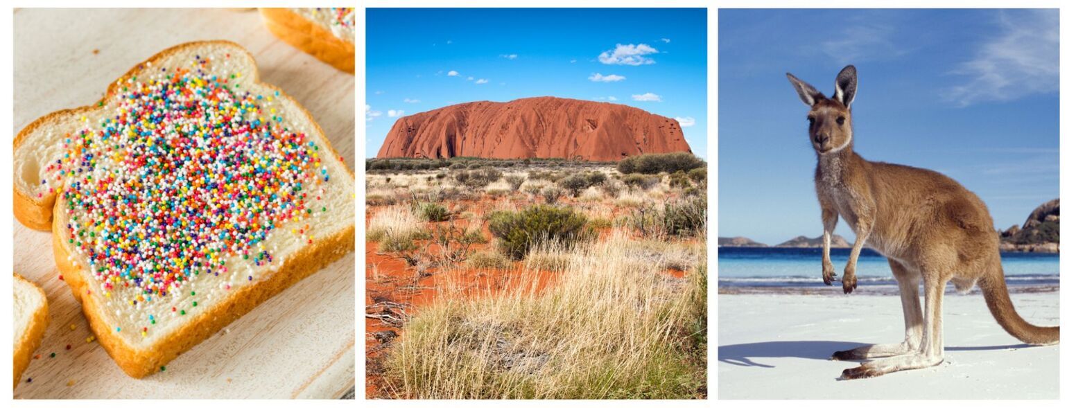 Why You Should Book