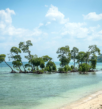 Andaman & Nicobar Islands Tour Packages
