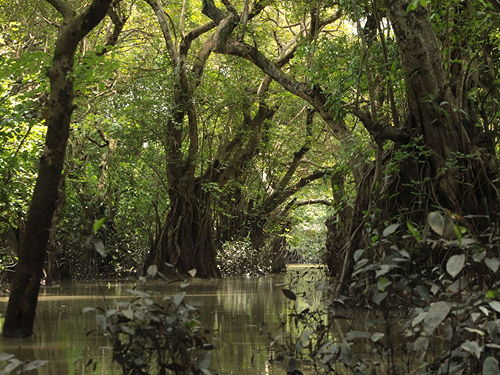 Bhitarkanika National Park