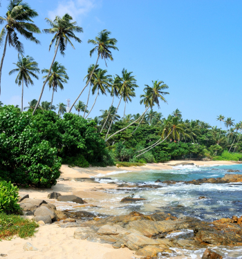 Goa Tour Packages