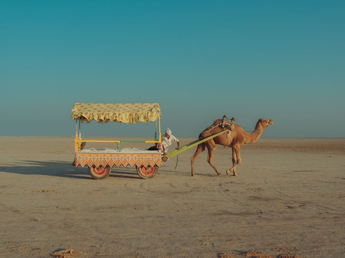 Great Rann of Kutch