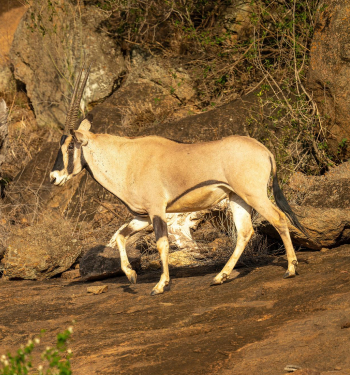 Gujarat Tour Packages