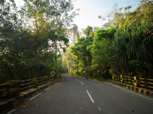 Havelock Island (Swaraj Dweep)