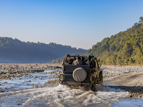 Jim Corbett National Park