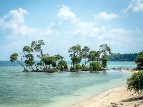 Neil Island (Shaheed Dweep)