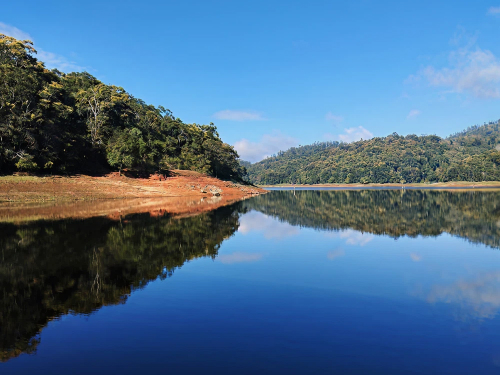 Thekkady (Periyar)