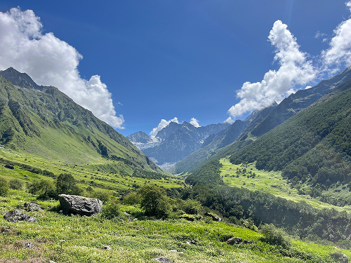 Valley of Flowers National Park