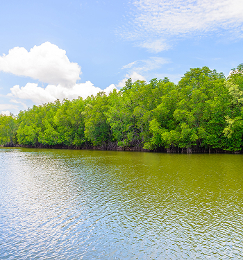 West Bengal Tour Packages